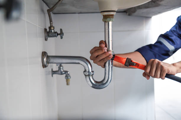 Best Garbage Disposal Repair and Installation  in Dunlap, IL